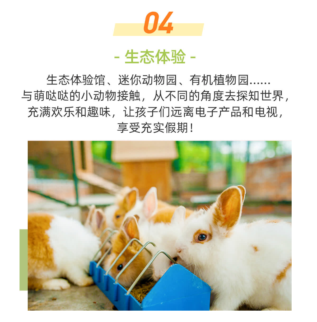 Expérience écologique de l'hôtel Shenzhen Mission Hills